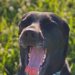 Meet your Posher, Courtney